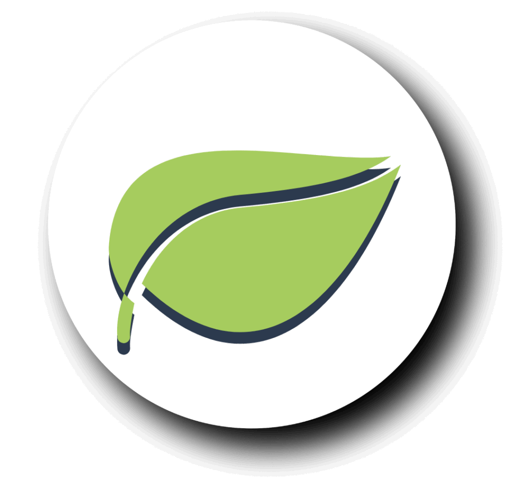 Hoja tono verde con sombra azul sin fondo