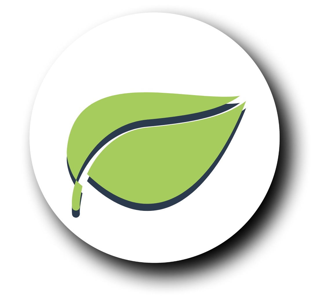 Hoja tono verde con sombra azul sin fondo 