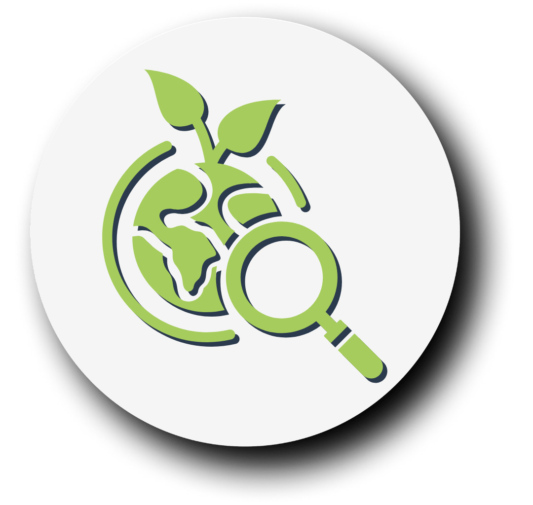 Mundo con vegetación siendo observado con lupa en tono verde y fondo blanco