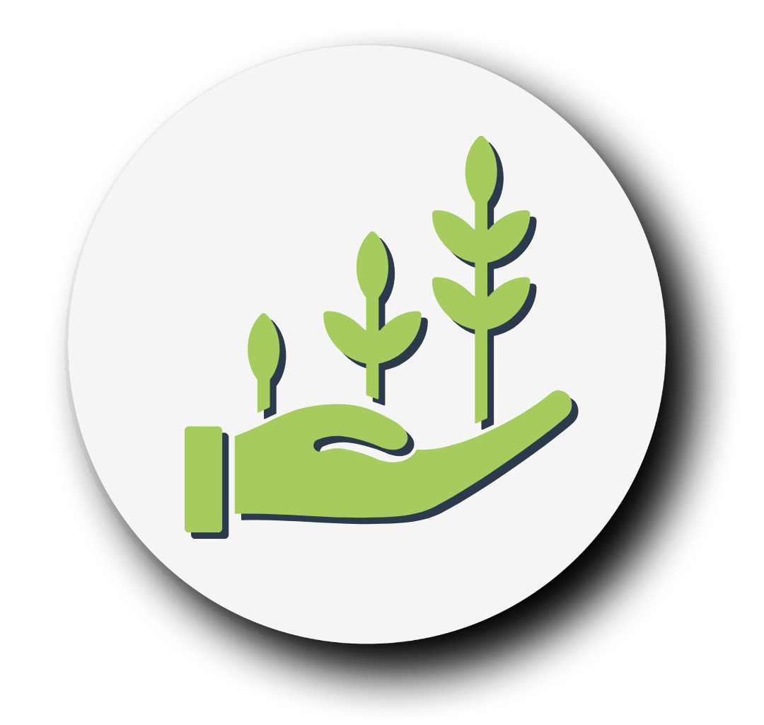 Mano sosteniendo un cultivo creciendo en tono verde y fondo blanco 